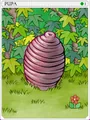 Pupa Card
