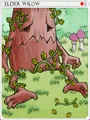 Elder Willow Card