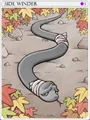 Sidewinder Card