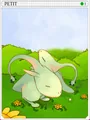 Earth Petite Card