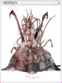 Medusa Card