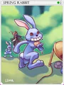 Spring Rabbit Card