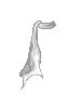C White Divergent Scarf