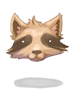 C Raccoon Hat