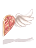 C Valentine King Heart