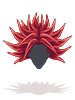 C Broly Hair