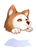 Kaho Husky Hat